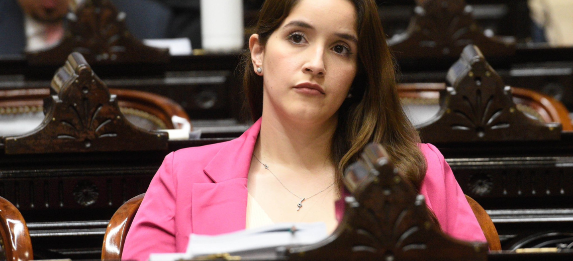 Aborto Una Diputada Nacional De La Región Fue Quién Presentó El Proyecto Para Derogar La Ley 6440